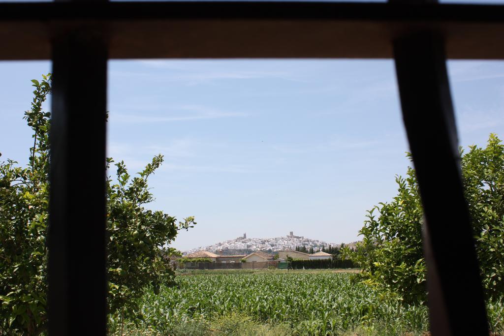 Hostal Rural La Plata Parking Incluido Arcos de la Frontera Bagian luar foto